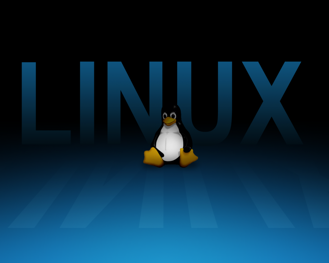 Linux Eğitimi